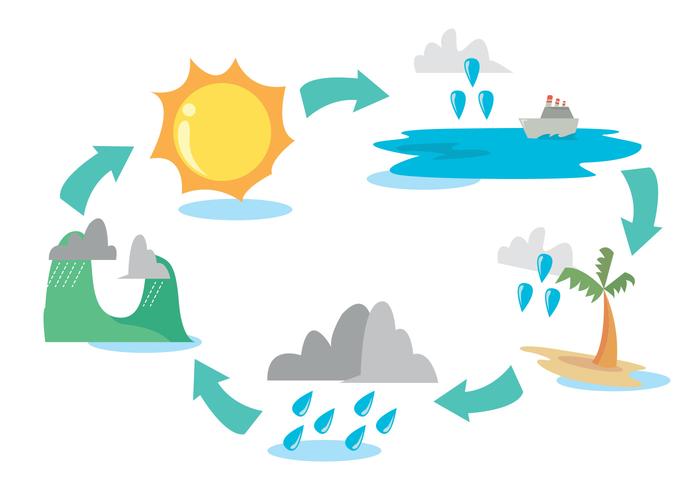 Diagrama del ciclo del agua Conjunto de vectores