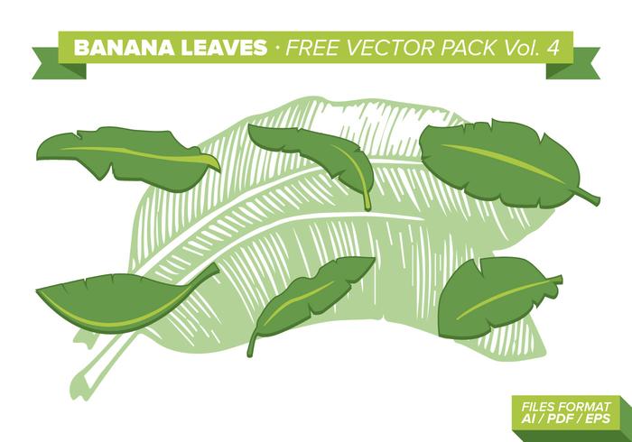 Banana Leaves Free Vector Pack Vol. 4 Banana Leaves Free Vector Pack Vol. 4