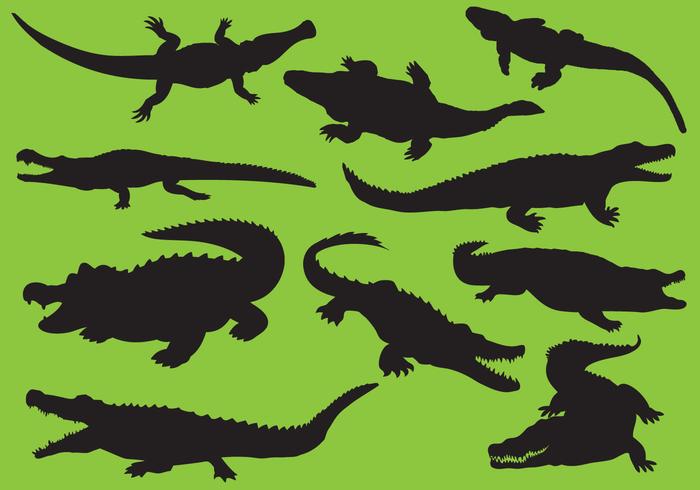 Gator Silhouettes vector