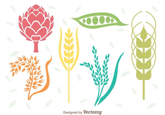 Cereals Plant Set vector