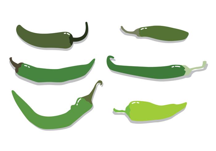 Green Hot Pepper Vector