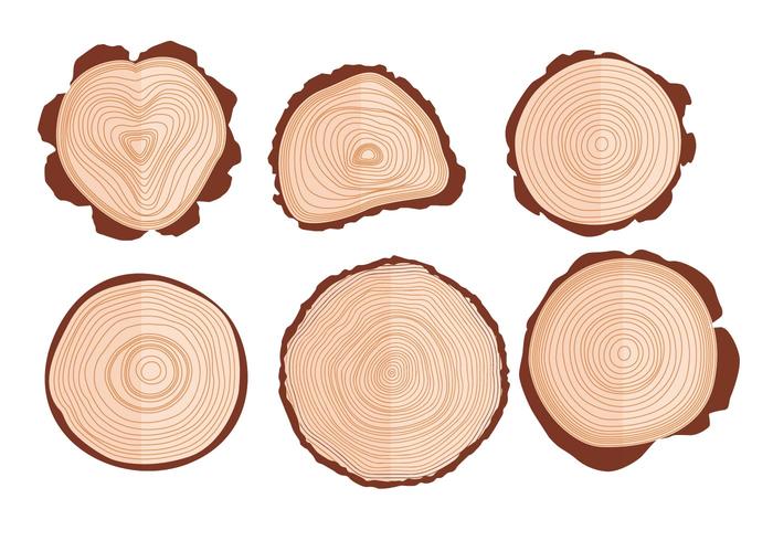 Tree Ring Vectors