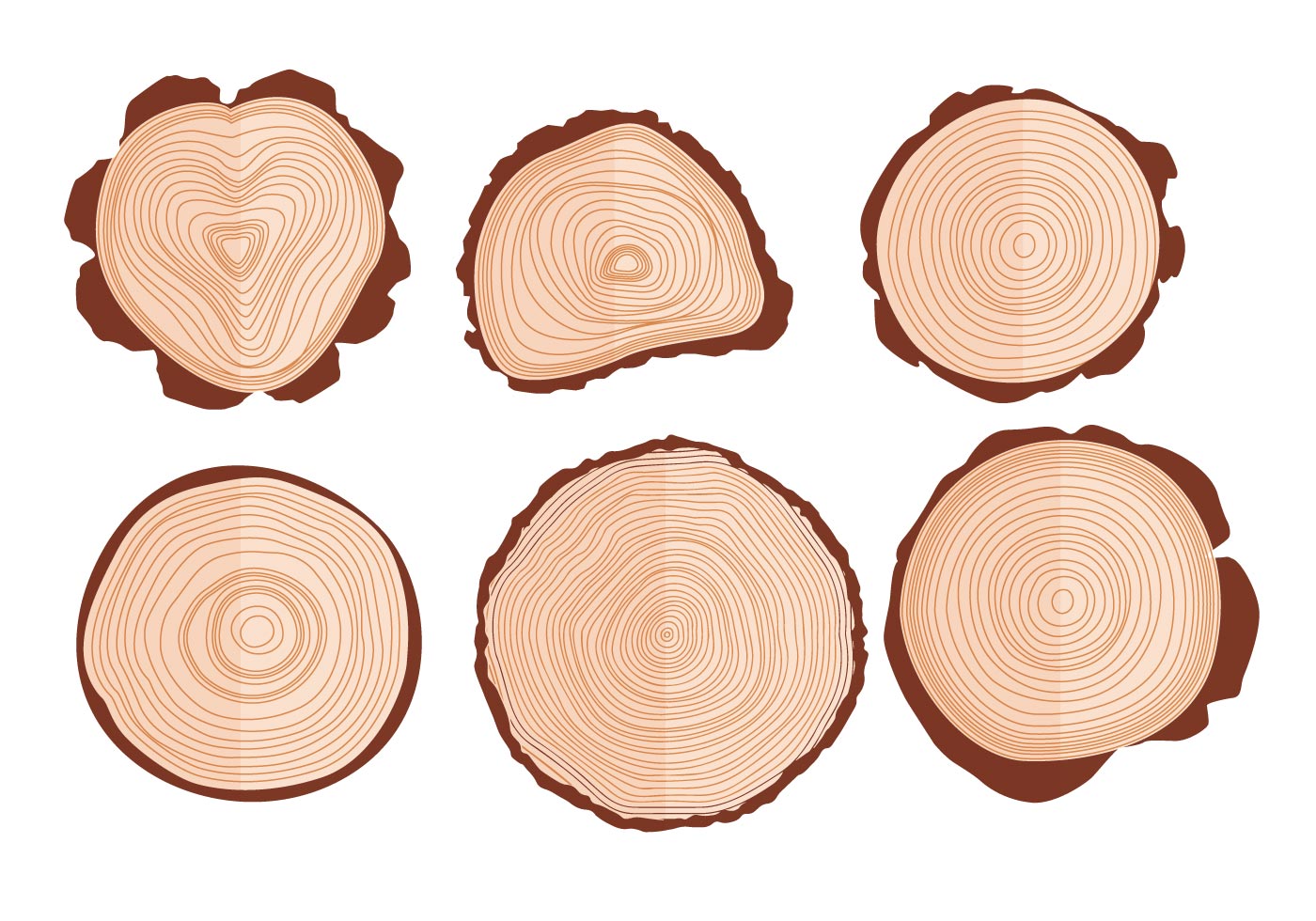 Tree Ring Vectors Download Free Vector Art, Stock Graphics & Images
