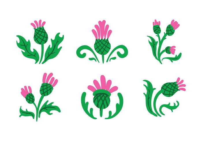 thistle Vector