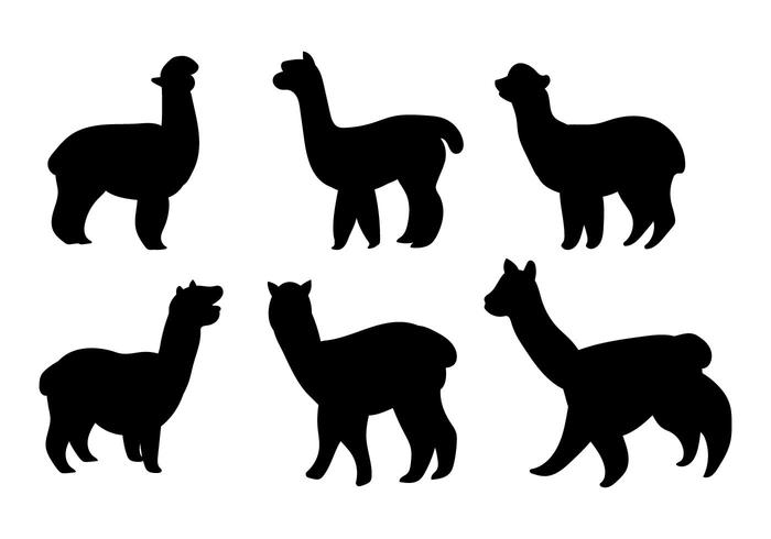 Alpaca Vector