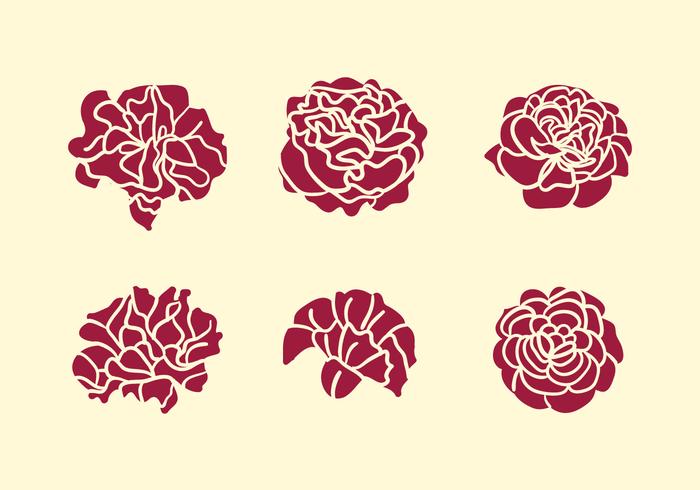 Carnation Flower Set vector
