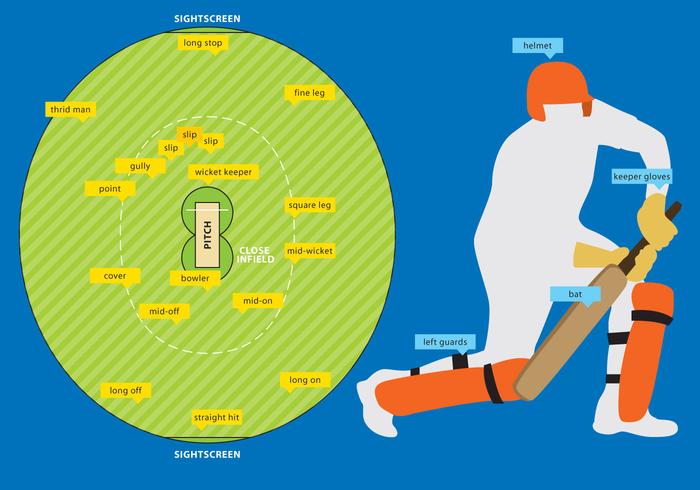 Campo De Cricket Y Equipo vector