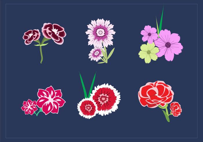 Carnation Bouquet Vectors