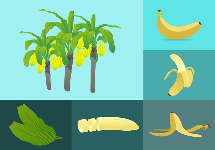 Ilustración de elementos de plátano vector