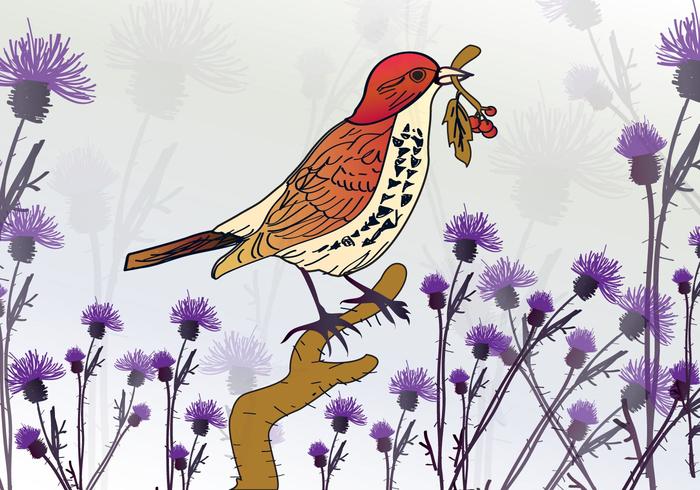 Bird on Thistle vector