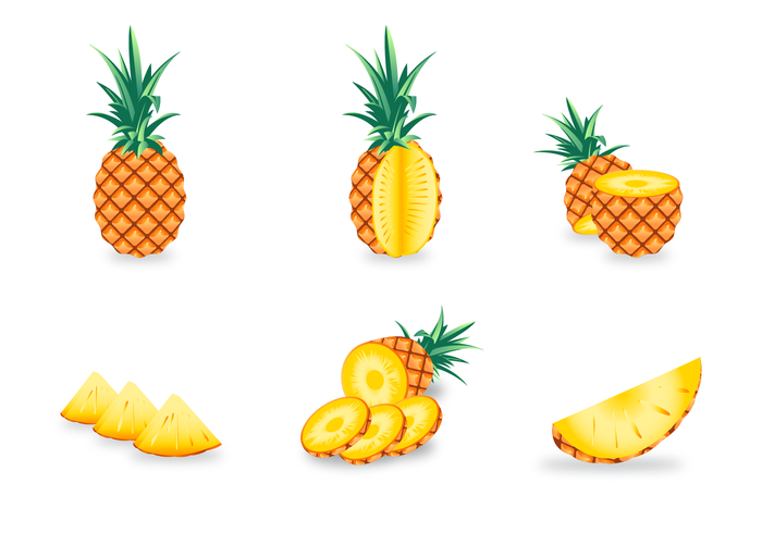 Ananas Gratis Vector