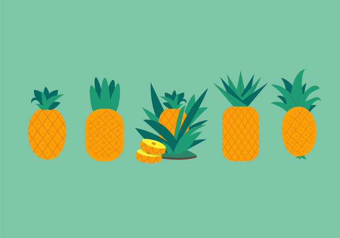 Ananas Vectors Ananas Vectors