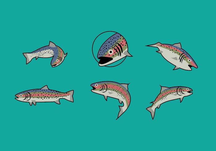 Download Rainbow Trout Illustrations - Download Free Vector Art ...
