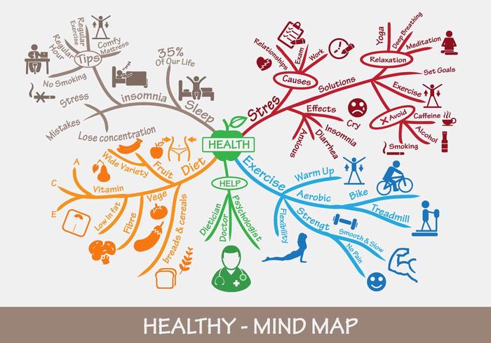 Healthy Mind Map vector