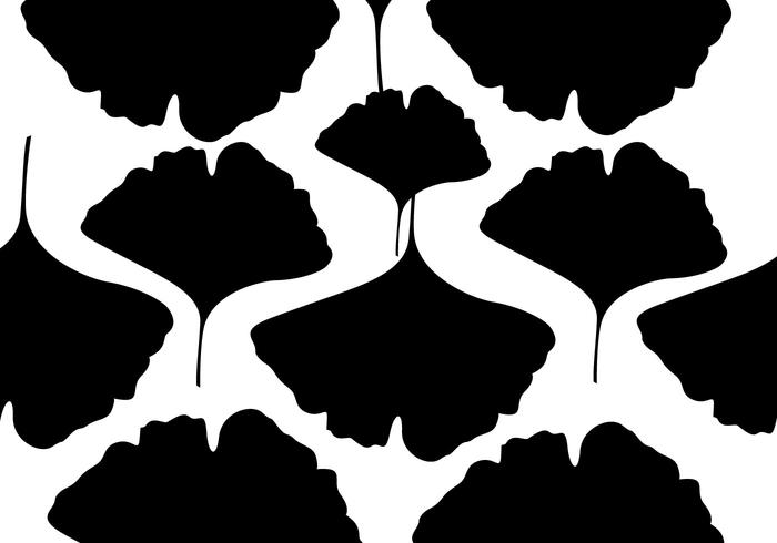 Free Ginkgo Vector Free Ginkgo Vector