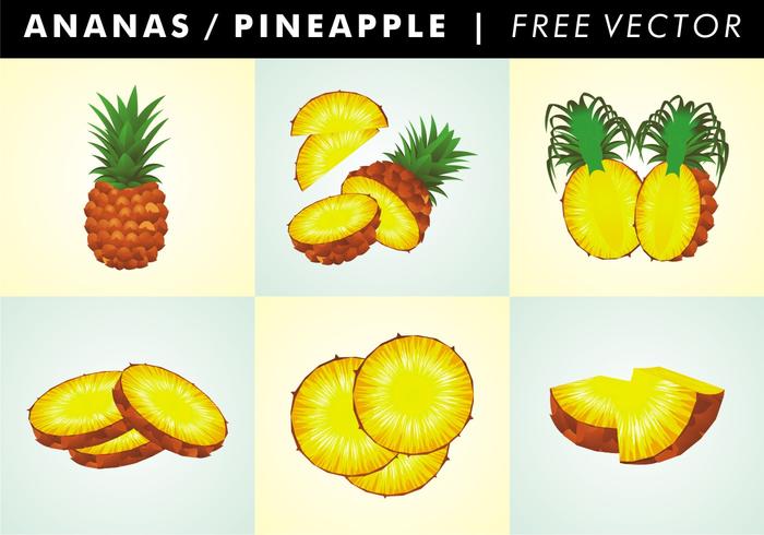 Ananas / Piña Vector Libre