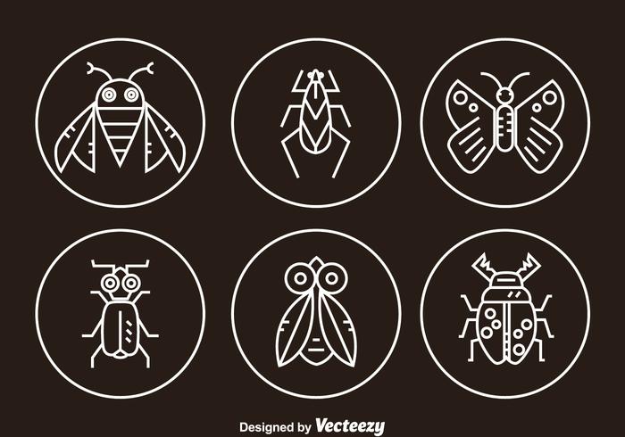 Iconos de línea de insectos vector