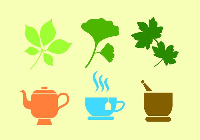 Set of Ginko Plant and Tea in Vector