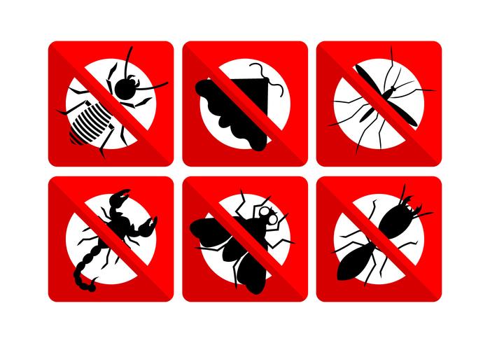 Vector Set of Insects