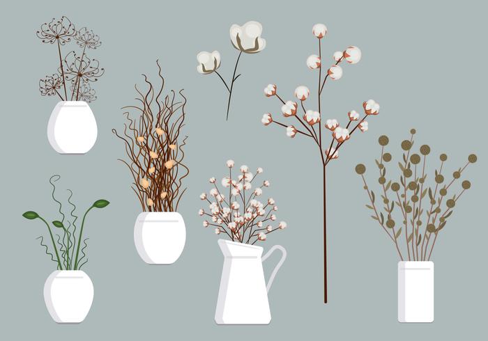 Dried Flowers Vectors Dried Flowers Vectors