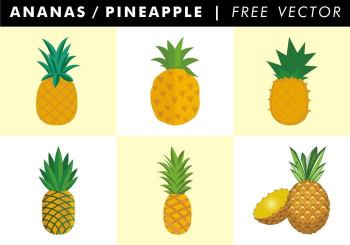 Ananas / Piña Vector Libre