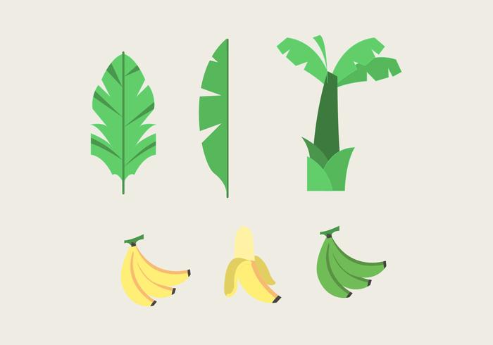 Banana Tree Vector