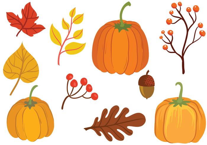 Vectores de calabaza gratis