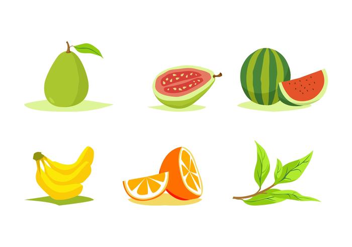 VECTOR DE FRUTAS GRATIS