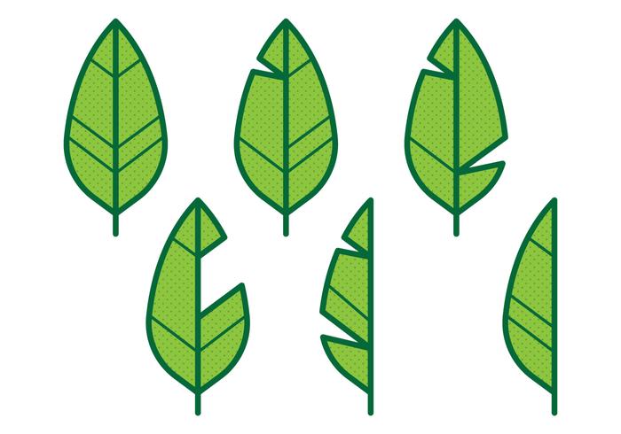 Icono de la hoja del plátano vector