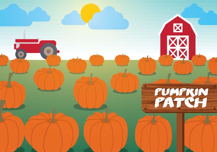 Pumpkin Patch Vector - Download Free Vector Art, Stock Graphics & Images