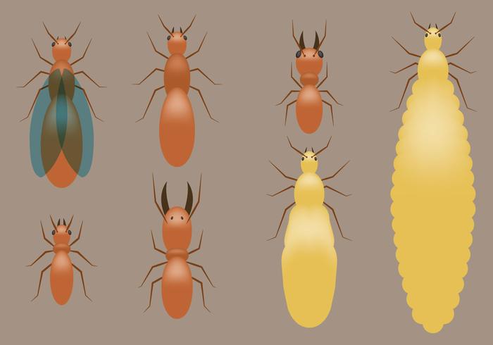 Termites Vectors Termites Vectors