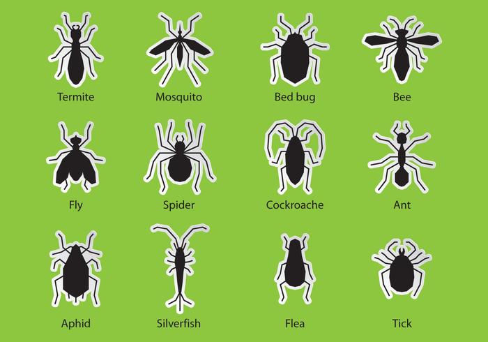Pest Control Bugs vector