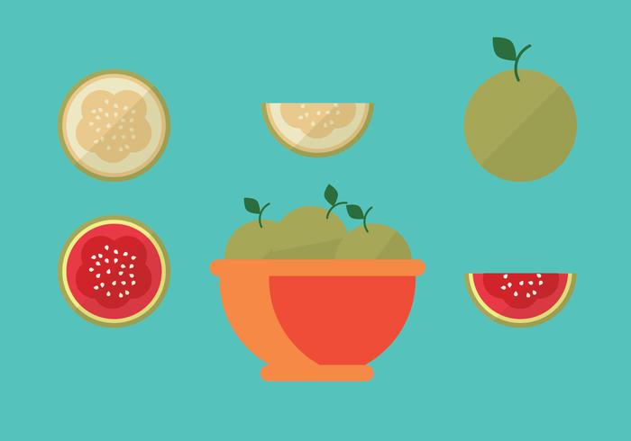 Guava Vector Pack Guava Vector Pack