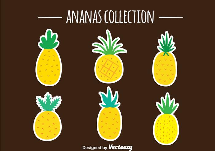 Pineapple Ananas Vector Collection Pineapple Ananas Vector Collection