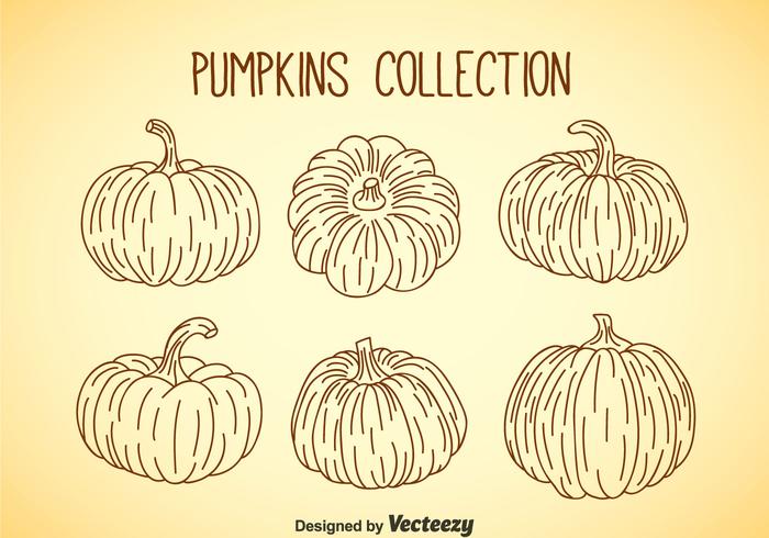 Pumpkin Collection vector