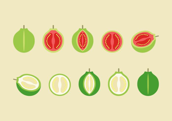 Free Guava Vector Free Guava Vector