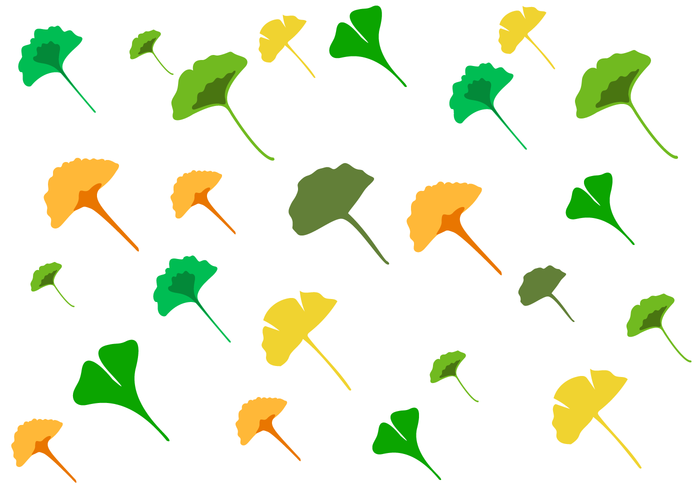 Free Ginko Vector Free Ginko Vector