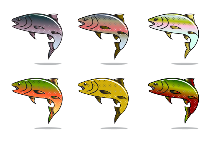 Free Rainbow Trout Vector 103729 Vector Art at Vecteezy
