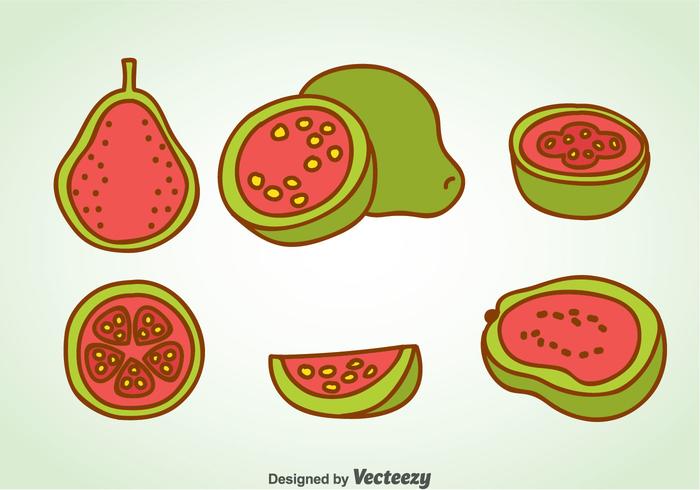 Vector de dibujos animados de guayaba