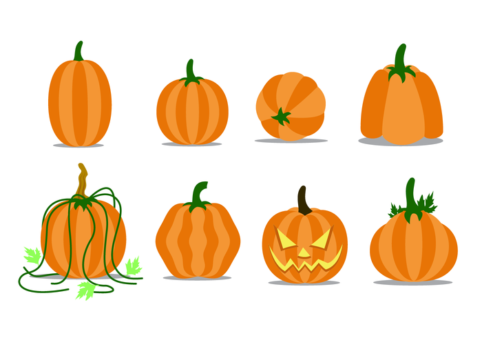 Vector libre de la calabaza