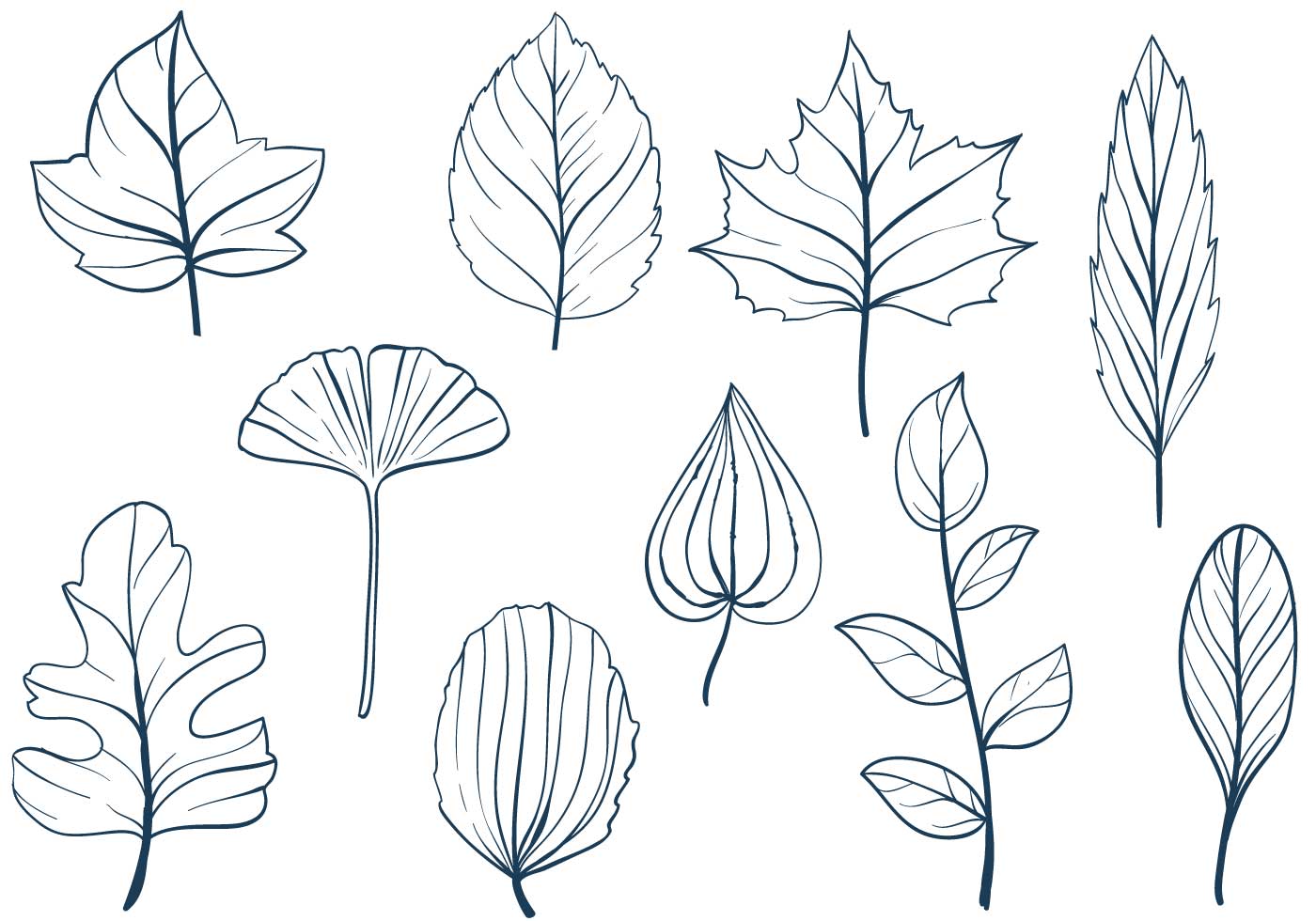 Free Leaves Vectors 103878 Vector Art At Vecteezy 4909