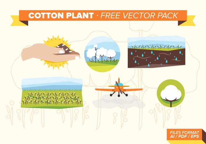 Cotton Plant Free Vector Pack Cotton Plant Free Vector Pack