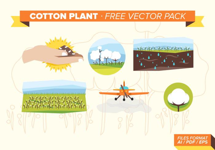 Cotton Plant Free Vector Pack