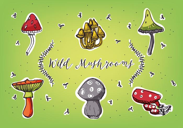 Different Types of Mushrooms Vector Background Collection