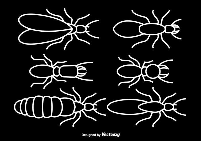 Termitas blancas del movimiento vector