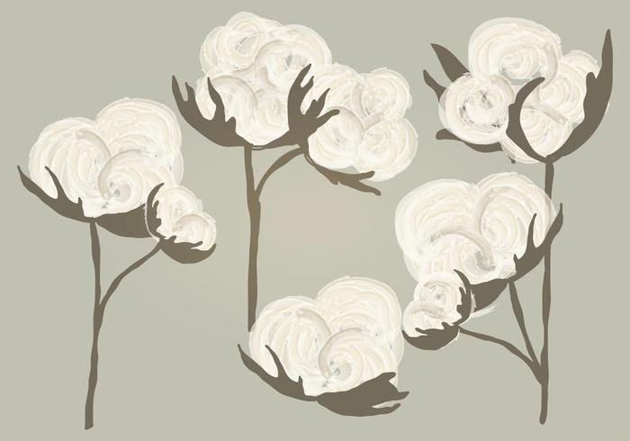 Vector Watercolor Cotton Illustration Vector Watercolor Cotton Illustration