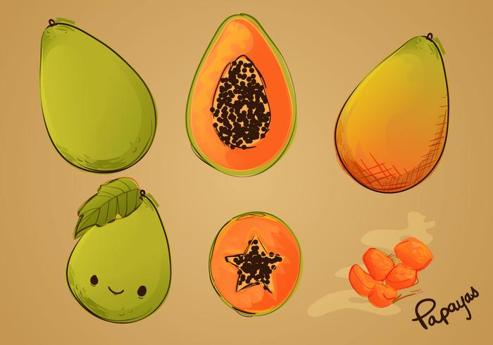 Sketched Papaya Vector Set