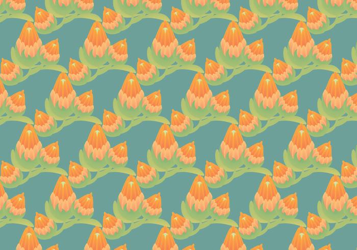 Free Protea Vector Pattern Illustration 