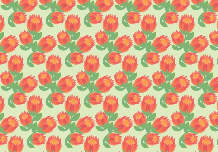 Free Protea Vector Pattern