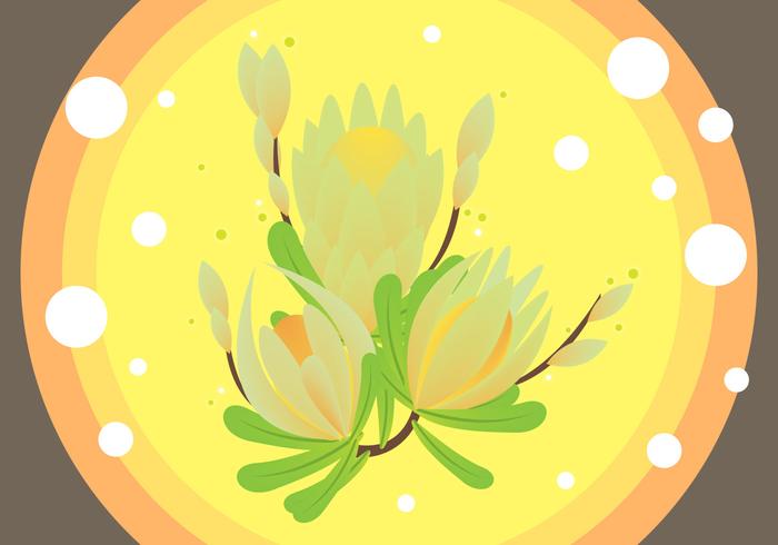 Free Protea Illustration Vector	